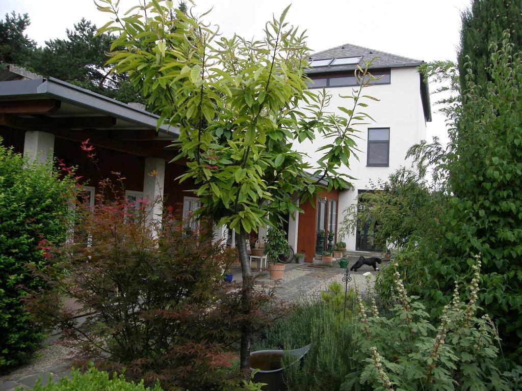 Box58 Apartment Eisenstadt Exterior photo